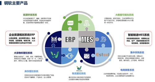 上海軟件開發(fā) 機(jī)遇、挑戰(zhàn)與未來展望