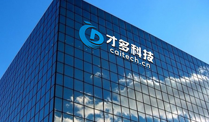 上海軟件開發公司簡介